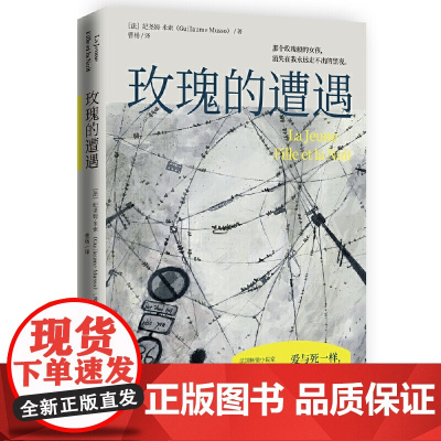 玫瑰的遭遇(法国小说家纪尧姆·米索“无懈可击的悬疑小说”) 纪尧姆·米索 湖南文艺出版社 正版书籍