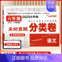 小升初六年级分类卷 语文 小学通用 [正版]2025百校联盟小学毕业升学考试真题详解语文数学英语小升初真题卷分类卷四五六