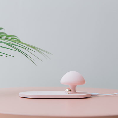 林檎企业公司年会商务礼品充电宝定制logo送领导客户伴手礼员工活动奖品生日送男女感恩节实用纪念品送女朋友老婆生日礼物送女