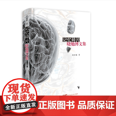 记忆碎片 晓勉博文集 纪实文学译文纪实人间经典很美我们很好幽默随笔杂文游记回忆类从军社会现实趣味生活岁月柔情广东人民出版