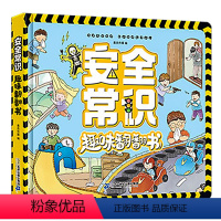 安全常识 [正版]安全常识趣味翻翻书 儿童3d立体书绘本故事书幼儿园小中大班安全教育阅读图书3-6-8岁孩子好习惯培养幼