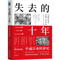 音像失去的三十年:平成日本经济史(日)野口悠纪雄
