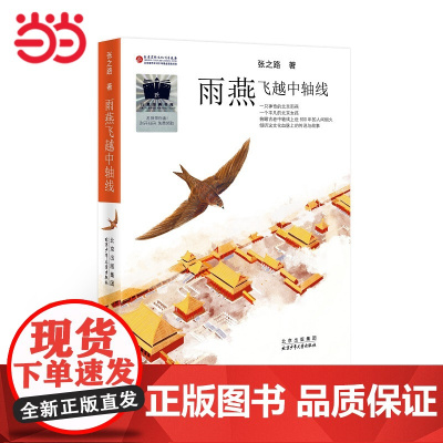 《雨燕飞越中轴线》(2023年百班千人暑期书单 四年级阅读)