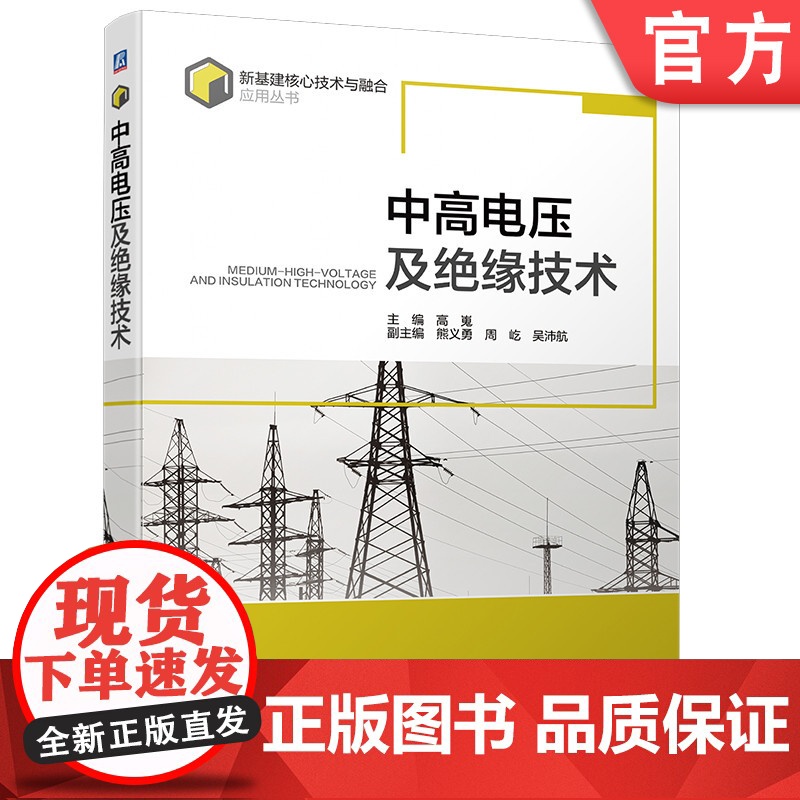 正版 中高电压及绝缘技术 高嵬 介质电气强度 电子崩 流注理论 沿面放电 泄漏电流 数字测量 在线检测 输电线路 绕
