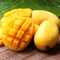 鲜贝达 小台农芒果9斤大果(70g起)新鲜现摘 小台芒 应季热带水果