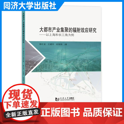 大都市产业集聚的辐射效应研究——以上海及其他长三角城市为例 赖红波 同济大学出版社
