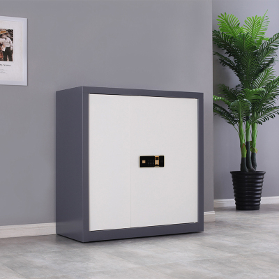 翌嘉 YJ-20066 保密柜套色档案柜资料柜单节指纹密码锁