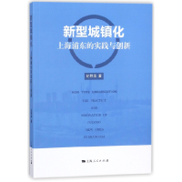 音像新型城镇化(上海浦东的实践与创新)纪慰华
