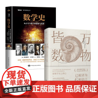 正版 万物皆数+数学史 从史前时期到人工智能数学发展史 全面详实地描述数学学科历史上的各类事件 科普百科书籍