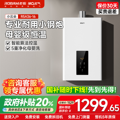 名气燃气热水器JSQ31-R5A36-16