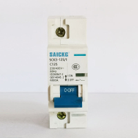 赛驰科技(SAICKG) SCK3-125/1 1P C125 低压空气开关 (单位台) 蓝白