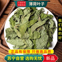 薄荷叶子100克干货正品官方店新货薄荷夜息香泡水喝养生茶甄选薄荷叶子