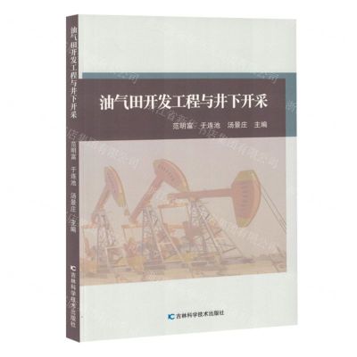[N]油气田开发工程与井下开采-9787574407497