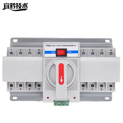 宜黔技术 双电源自动转换开关 BQ3a-100/2P 个