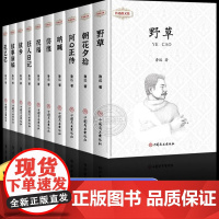 鲁迅全集原著正版10册 六七年级阅读书必课外阅读书籍朝花夕拾狂人日记故乡野草呐喊彷徨阿Q正传孔乙己小说经典作品集杂文集初