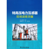 音像特高压电力互感器现场误差测量杨剑,孙军,刘少波