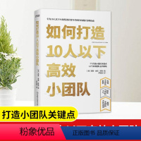 [正版] 如何打造10人以下高效小团队 为新晋和中层管理者量身打造的小团队管理实用手册 发挥小团队优势 提升小团队合作