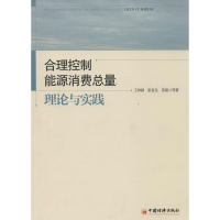 音像合理控制能源消费总量王仲颖