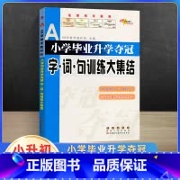 字词句训练大集结 小学升初中 [正版]2023新小学毕业升学夺冠大集结古诗文字词句训练成语名著文学常识作文素材新阅读训练