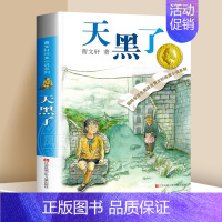 ❤天黑了 [正版]根鸟 书 曹文轩六年级课外书 纯美小说系列 9-10-11-12岁儿童少儿图书小学生四五年级课外阅读文