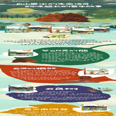 [M]萤火虫河谷 左泓 著 -9787544867221