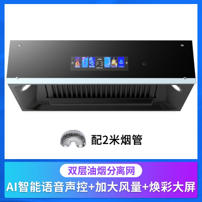 抽油烟机家用厨房大吸力出租房中式老式欧式顶吸油烟机 油烟分离网-旗舰小智声控自行-2米烟管