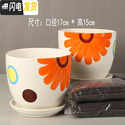 三维工匠陶瓷花盆大号多肉芦荟吊兰带托盘绿萝创意个性口径17cm高 (红太阳2个大号+2斤营养土) 大花盆容器
