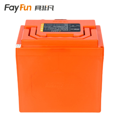 具非凡 锂电池48V20A/个