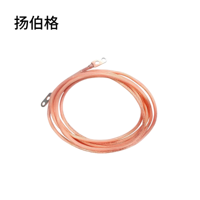 扬伯格 铜护套线 25平方×10m国标双孔线鼻子 根