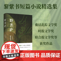 野菩萨 黎紫书短篇小说精选集 特别收入全新短篇《海》暂停键 流俗地 告别的年代作者 现当代文学散文随笔书籍排行榜