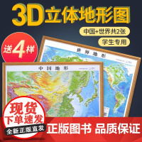 [北斗授权]2024年地图世界和中国地图 3d立体凹凸地形图 约58*43cm浮雕地图挂图 初高中学生用地理教学家用墙贴