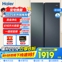 海尔(Haier)616升对开门超薄嵌入冰箱 鲸式储量 黑金净化 双变频一级能效 BCD-616WGHSSEDC9