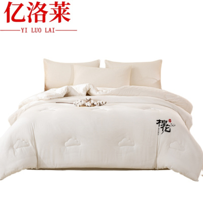 亿洛莱 春秋被 150*200cm3斤 床