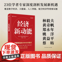 经济新动能 北京大学国家发展研究院 著 经济