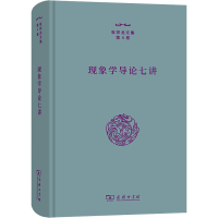 音像现象学导论七讲张祥龙