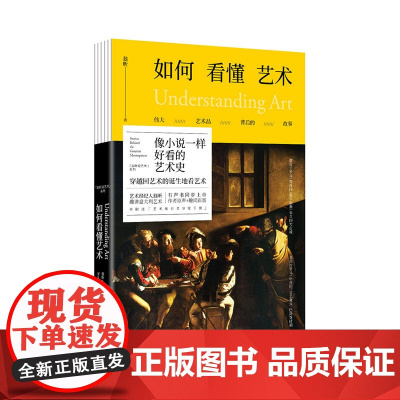 如何看懂艺术(修订版) 伟大艺术品背后的故事 翁昕 未读出品