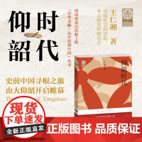 仰韶时代 王仁湘 著 文化