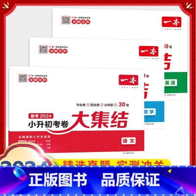 小升初考卷大集结(语+数+英) 小学通用 [正版]小学知识大盘点名校冲刺方案三四五六年级人教版语文数学英语小考总复习小升