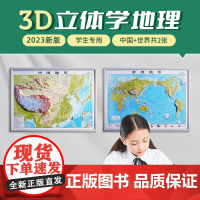 共2张中国和世界地形图 3d立体凹凸地图挂图 42cm遥感卫星影像图三维浮雕地理地势地貌 初高中学生教学家用墙贴