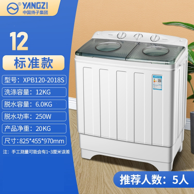 扬子(YANGZI)10公斤双桶洗衣机大容量老式半自动宿舍家用洗脱双缸小型 12标准款强力洗