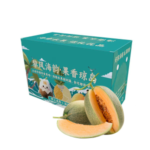 礼盒装[西沛生鲜]新鲜哈密瓜 净重4.5斤 2个 应季水果 新鲜甜瓜 鲜果
