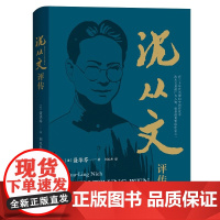 沈从文评传