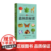 森林的秘密精装绘本科普启蒙翻翻书图画书长拉页+翻翻页让孩子亲近自然认识森林圆角设计中英双语自然词汇附音频青豆正版童书