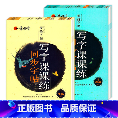 写字课课练同步字帖 1年级上下册 [正版]罗扬字帖课堂笔记天天练练字帖人教版同步字帖一课一练硬笔钢笔临摹一二三四五六七八