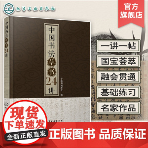 中国书法草书24讲 书法书写姿势书法基本功临摹范本字体练习本执笔用笔中国书法发展史书大篆小篆草书楷书行书隶书书碑帖讲解解