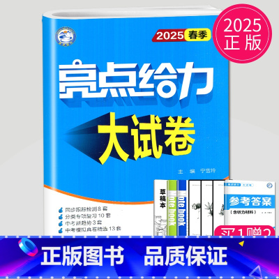 英语 九年级下 译林版 九年级下 [正版]2024亮点给力大试卷九年级上册数学物理语文化学英语九上人教版苏科版苏教版译林