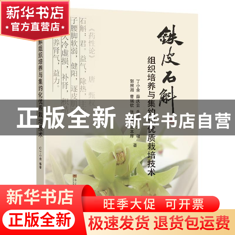 正版 铁皮石斛组织培养与集约化优质栽培技术 丁小余//薛庆云//牛