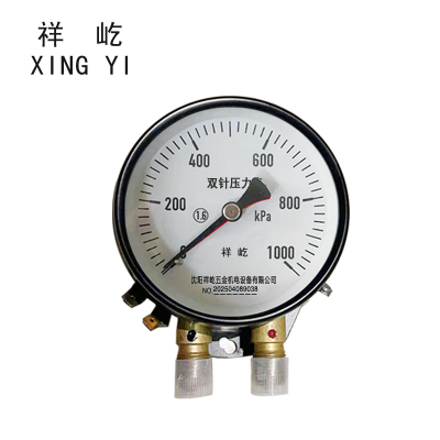 祥屹 双针压力表 带灯24V YZS102 块