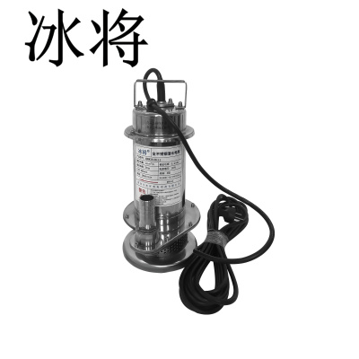 冰将 220V全不锈钢潜水电泵清水泵 台