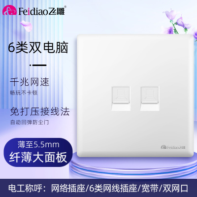 飞雕(FEIDIAO)超薄大板 开关插座格韵系列86型带开关插座面板墙壁电源插座 格韵优雅白二位电脑插